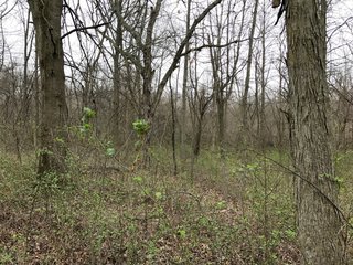 Property photo 28 - LAND AUCTION - 156.63+/- ACRES OFFERED IN 7 TRACTS IN ALLEN COUNTY, INDIANA
